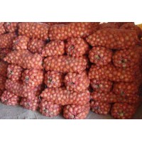 Лук средний ОПТ